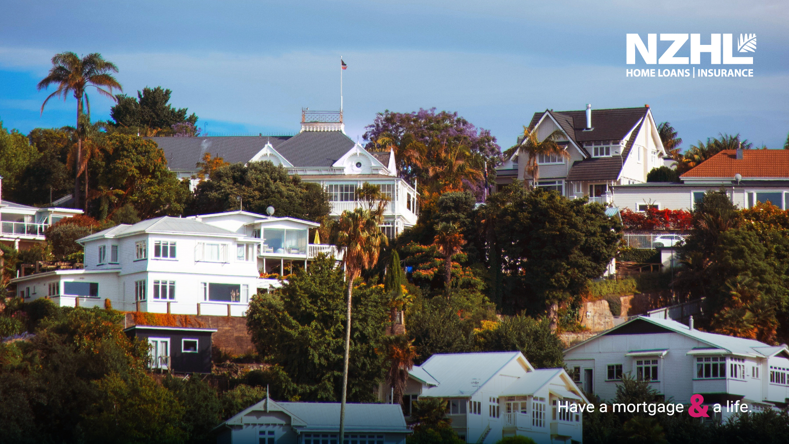 The NZHL Property Report by Tony Alexander Thumbnail